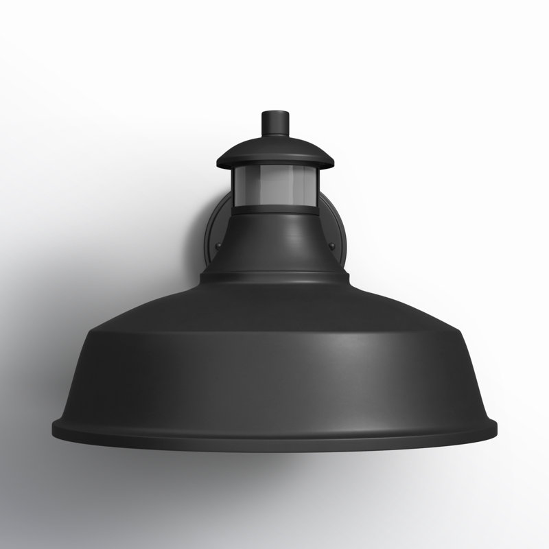 Vintage outdoor sensor light online